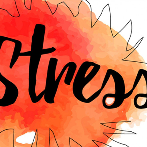Stress verstehen – Stress abbauen